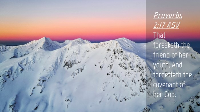 Picture 04 - Proverbs 2:17 ASV Desktop Wallpaper - That forsaketh the friend of her youth, And - Desktop Bible Verse Wallpaper