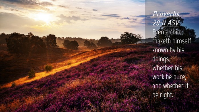 Picture 04 - Proverbs 20:11 ASV Desktop Wallpaper - Even a child maketh himself known by his doings, - Desktop Bible Verse Wallpaper