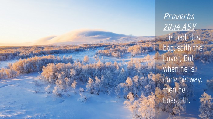 Picture 04 - Proverbs 20:14 ASV Desktop Wallpaper - It is bad, it is bad, saith the buyer; But when - Desktop Bible Verse Wallpaper