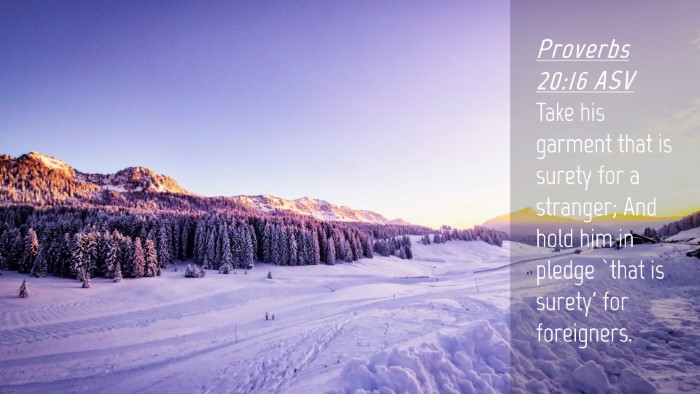 Picture 04 - Proverbs 20:16 ASV Desktop Wallpaper - Take his garment that is surety for a stranger; - Desktop Bible Verse Wallpaper