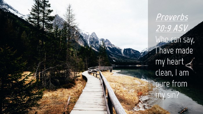 Picture 04 - Proverbs 20:9 ASV Desktop Wallpaper - Who can say, I have made my heart clean, I am - Desktop Bible Verse Wallpaper