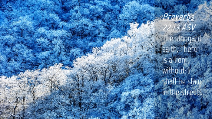 Picture 04 - Proverbs 22:13 ASV Desktop Wallpaper - The sluggard saith, There is a lion without: I - Desktop Bible Verse Wallpaper