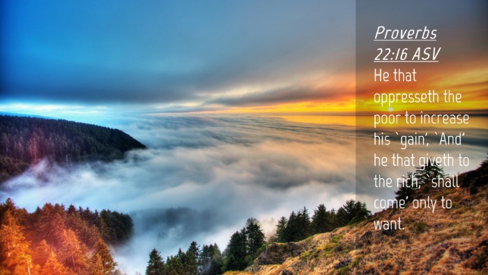 Picture 04 - Proverbs 22:16 ASV Desktop Wallpaper - He that oppresseth the poor to increase his - Desktop Bible Verse Wallpaper