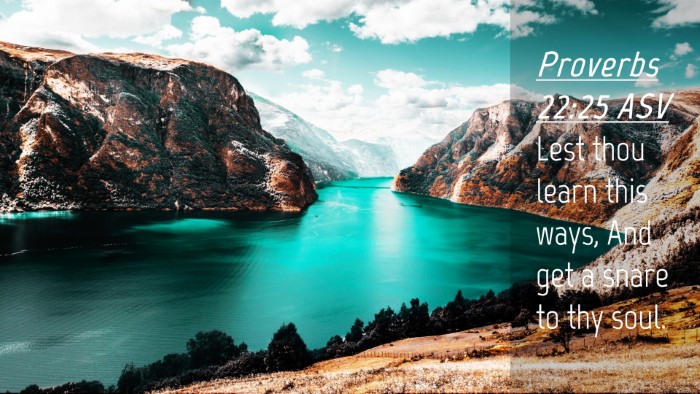 Picture 04 - Proverbs 22:25 ASV Desktop Wallpaper - Lest thou learn this ways, And get a snare to thy - Desktop Bible Verse Wallpaper
