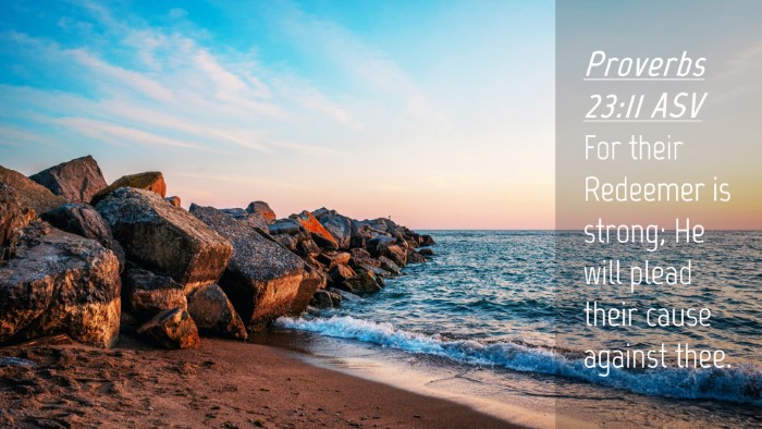 Picture 04 - Proverbs 23:11 ASV Desktop Wallpaper - For their Redeemer is strong; He will plead their - Desktop Bible Verse Wallpaper