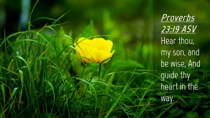 Picture 04 - Proverbs 23:19 ASV Desktop Wallpaper - Hear thou, my son, and be wise, And guide thy - Desktop Bible Verse Wallpaper
