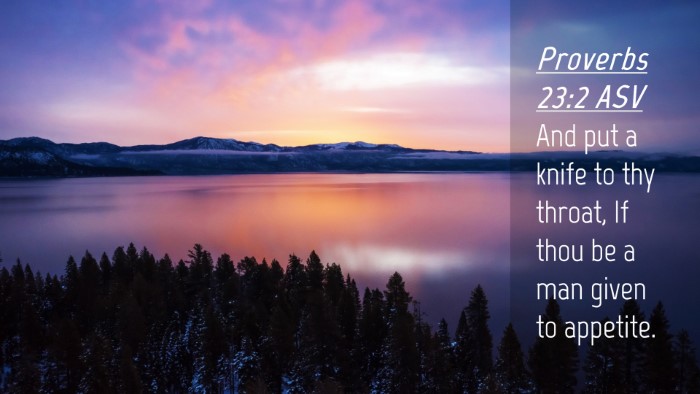 Picture 04 - Proverbs 23:2 ASV Desktop Wallpaper - And put a knife to thy throat, If thou be a man - Desktop Bible Verse Wallpaper