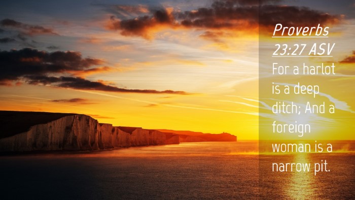 Picture 04 - Proverbs 23:27 ASV Desktop Wallpaper - For a harlot is a deep ditch; And a foreign woman - Desktop Bible Verse Wallpaper