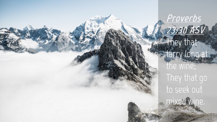 Picture 04 - Proverbs 23:30 ASV Desktop Wallpaper - They that tarry long at the wine; They that go to - Desktop Bible Verse Wallpaper