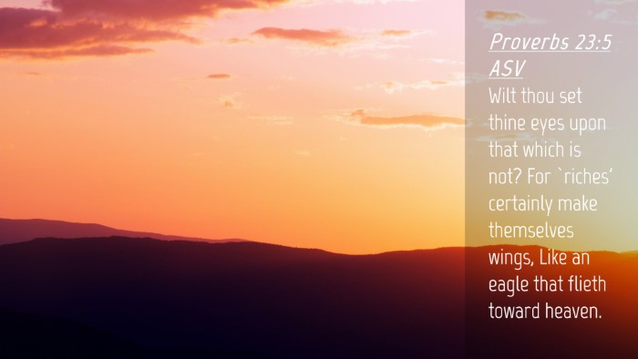 Picture 04 - Proverbs 23:5 ASV Desktop Wallpaper - Wilt thou set thine eyes upon that which is not? - Desktop Bible Verse Wallpaper