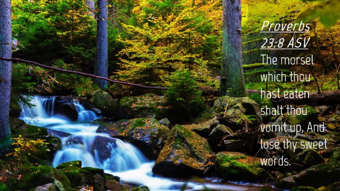 Picture 04 - Proverbs 23:8 ASV Desktop Wallpaper - The morsel which thou hast eaten shalt thou vomit - Desktop Bible Verse Wallpaper