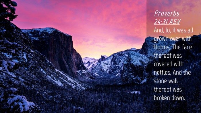 Picture 04 - Proverbs 24:31 ASV Desktop Wallpaper - And, lo, it was all grown over with thorns, The - Desktop Bible Verse Wallpaper