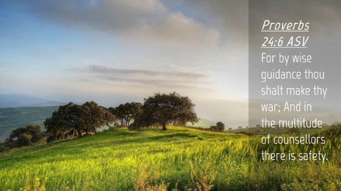 Picture 04 - Proverbs 24:6 ASV Desktop Wallpaper - For by wise guidance thou shalt make thy war; And - Desktop Bible Verse Wallpaper
