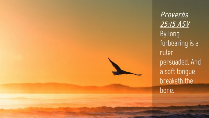 Picture 04 - Proverbs 25:15 ASV Desktop Wallpaper - By long forbearing is a ruler persuaded, And a - Desktop Bible Verse Wallpaper