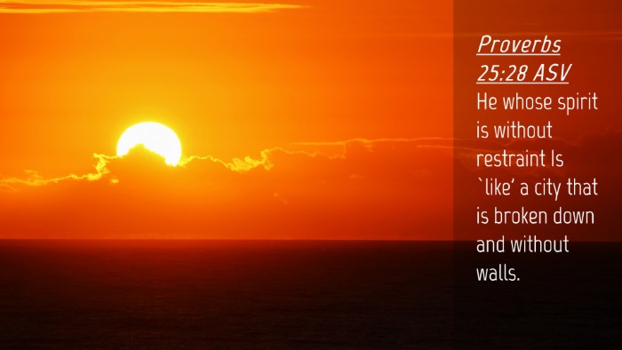 Picture 04 - Proverbs 25:28 ASV Desktop Wallpaper - He whose spirit is without restraint Is `like' a - Desktop Bible Verse Wallpaper