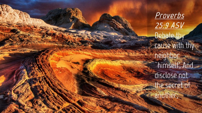 Picture 04 - Proverbs 25:9 ASV Desktop Wallpaper - Debate thy cause with thy neighbor `himself', And - Desktop Bible Verse Wallpaper