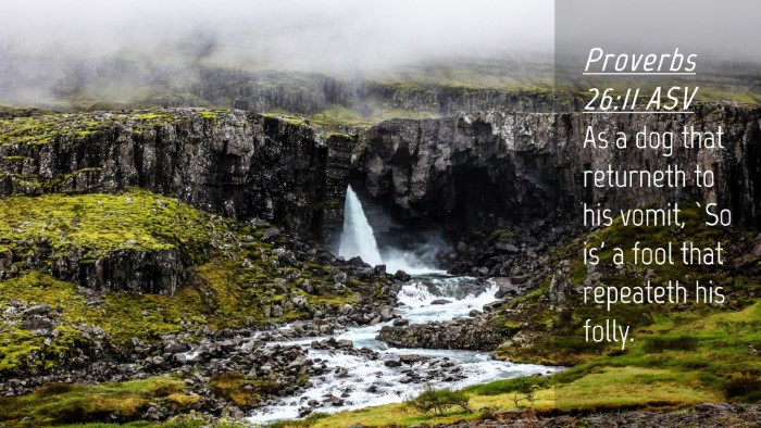 Picture 04 - Proverbs 26:11 ASV Desktop Wallpaper - As a dog that returneth to his vomit, `So is' a - Desktop Bible Verse Wallpaper