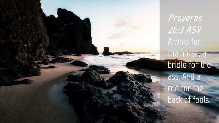 Picture 04 - Proverbs 26:3 ASV Desktop Wallpaper - A whip for the horse, a bridle for the ass, And a - Desktop Bible Verse Wallpaper