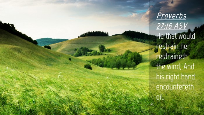 Picture 04 - Proverbs 27:16 ASV Desktop Wallpaper - He that would restrain her restraineth the wind; - Desktop Bible Verse Wallpaper