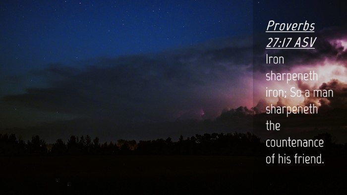 Picture 04 - Proverbs 27:17 ASV Desktop Wallpaper - Iron sharpeneth iron; So a man sharpeneth the - Desktop Bible Verse Wallpaper