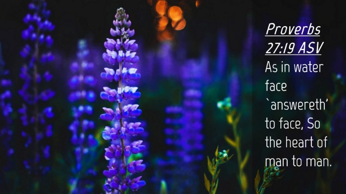 Picture 04 - Proverbs 27:19 ASV Desktop Wallpaper - As in water face `answereth' to face, So the - Desktop Bible Verse Wallpaper