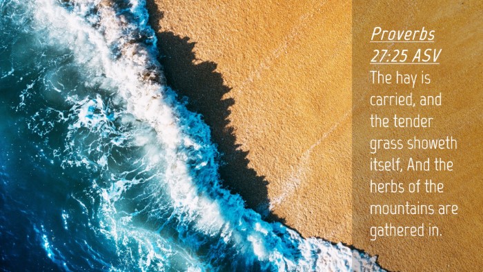 Picture 04 - Proverbs 27:25 ASV Desktop Wallpaper - The hay is carried, and the tender grass showeth - Desktop Bible Verse Wallpaper