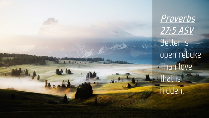 Picture 04 - Proverbs 27:5 ASV Desktop Wallpaper - Better is open rebuke Than love that is - Desktop Bible Verse Wallpaper