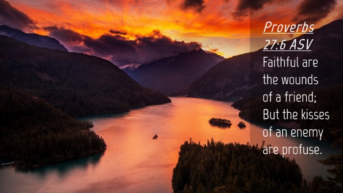 Picture 04 - Proverbs 27:6 ASV Desktop Wallpaper - Faithful are the wounds of a friend; But the - Desktop Bible Verse Wallpaper