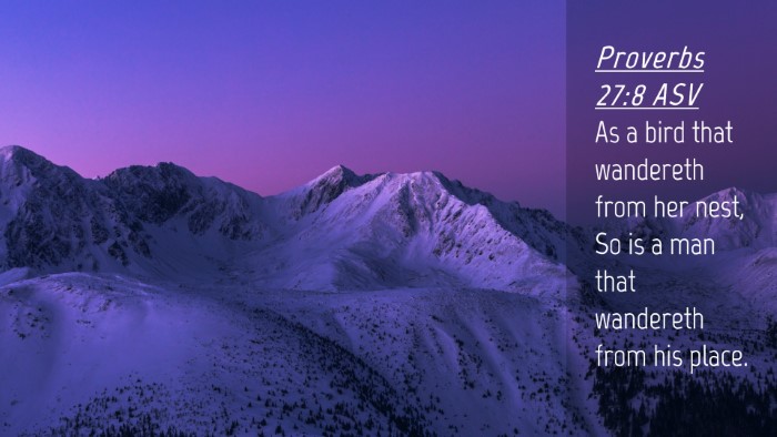 Picture 04 - Proverbs 27:8 ASV Desktop Wallpaper - As a bird that wandereth from her nest, So is a - Desktop Bible Verse Wallpaper