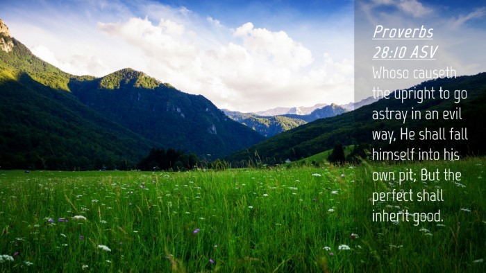 Picture 04 - Proverbs 28:10 ASV Desktop Wallpaper - Whoso causeth the upright to go astray in an evil - Desktop Bible Verse Wallpaper