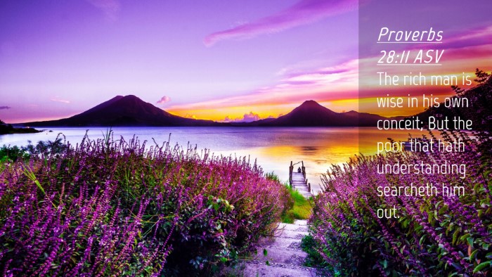 Picture 04 - Proverbs 28:11 ASV Desktop Wallpaper - The rich man is wise in his own conceit; But the - Desktop Bible Verse Wallpaper