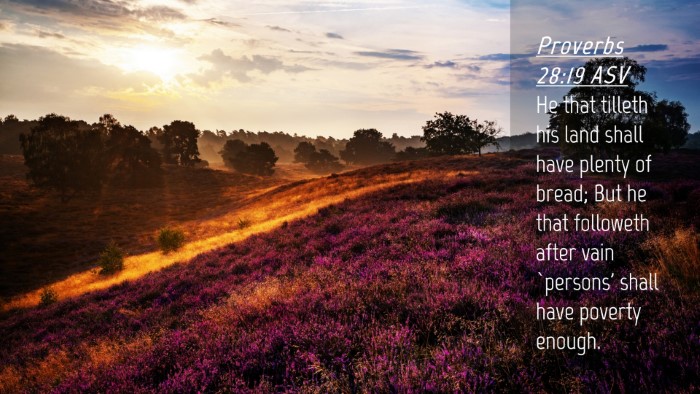 Picture 04 - Proverbs 28:19 ASV Desktop Wallpaper - He that tilleth his land shall have plenty of - Desktop Bible Verse Wallpaper