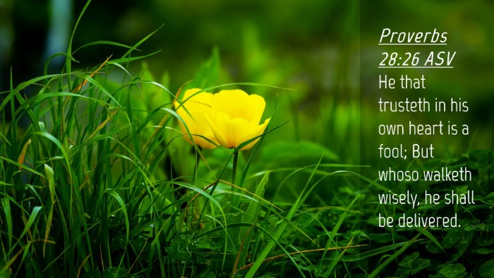 Picture 04 - Proverbs 28:26 ASV Desktop Wallpaper - He that trusteth in his own heart is a fool; But - Desktop Bible Verse Wallpaper