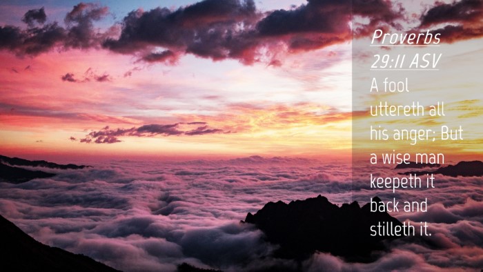 Picture 04 - Proverbs 29:11 ASV Desktop Wallpaper - A fool uttereth all his anger; But a wise man - Desktop Bible Verse Wallpaper