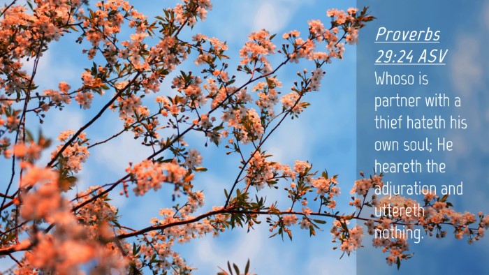 Picture 04 - Proverbs 29:24 ASV Desktop Wallpaper - Whoso is partner with a thief hateth his own - Desktop Bible Verse Wallpaper