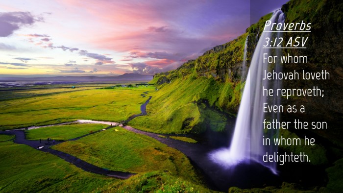 Picture 04 - Proverbs 3:12 ASV Desktop Wallpaper - For whom Jehovah loveth he reproveth; Even as a - Desktop Bible Verse Wallpaper