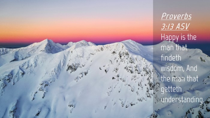 Picture 04 - Proverbs 3:13 ASV Desktop Wallpaper - Happy is the man that findeth wisdom, And the man - Desktop Bible Verse Wallpaper