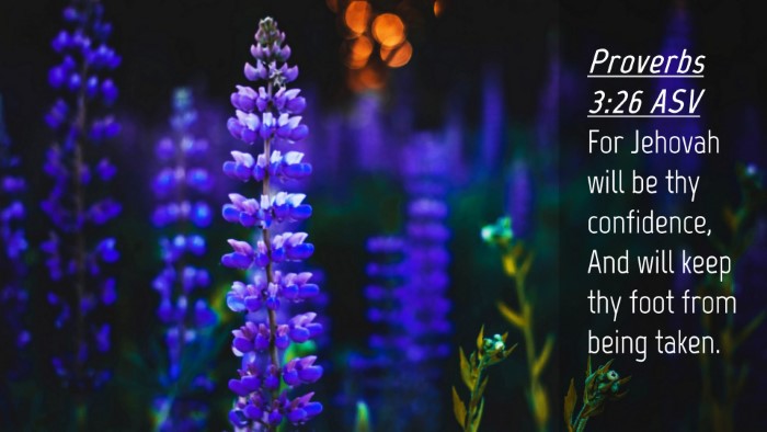 Picture 04 - Proverbs 3:26 ASV Desktop Wallpaper - For Jehovah will be thy confidence, And will keep - Desktop Bible Verse Wallpaper