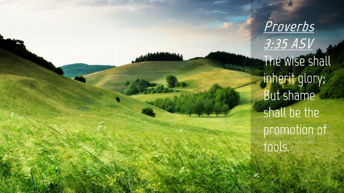 Picture 04 - Proverbs 3:35 ASV Desktop Wallpaper - The wise shall inherit glory; But shame shall be - Desktop Bible Verse Wallpaper