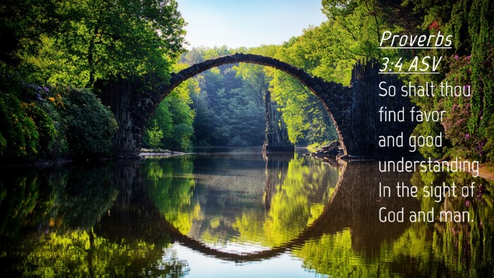 Picture 04 - Proverbs 3:4 ASV Desktop Wallpaper - So shalt thou find favor and good understanding - Desktop Bible Verse Wallpaper