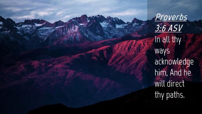 Picture 04 - Proverbs 3:6 ASV Desktop Wallpaper - In all thy ways acknowledge him, And he will - Desktop Bible Verse Wallpaper
