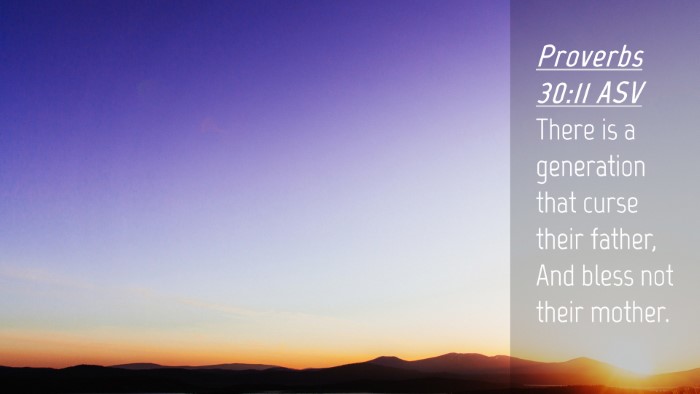 Picture 04 - Proverbs 30:11 ASV Desktop Wallpaper - There is a generation that curse their father, - Desktop Bible Verse Wallpaper