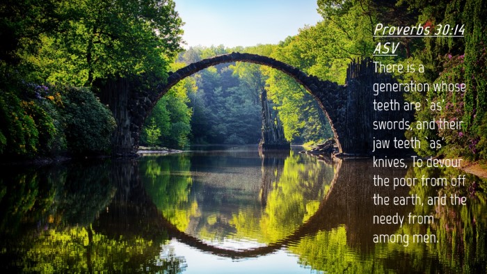 Picture 04 - Proverbs 30:14 ASV Desktop Wallpaper - There is a generation whose teeth are `as' - Desktop Bible Verse Wallpaper