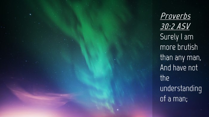 Picture 04 - Proverbs 30:2 ASV Desktop Wallpaper - Surely I am more brutish than any man, And have - Desktop Bible Verse Wallpaper