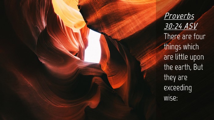 Picture 04 - Proverbs 30:24 ASV Desktop Wallpaper - There are four things which are little upon the - Desktop Bible Verse Wallpaper