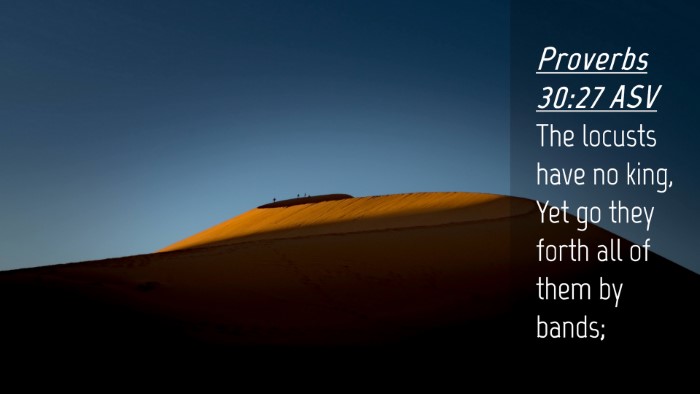 Picture 04 - Proverbs 30:27 ASV Desktop Wallpaper - The locusts have no king, Yet go they forth all - Desktop Bible Verse Wallpaper