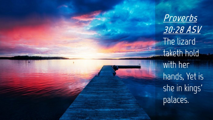 Picture 04 - Proverbs 30:28 ASV Desktop Wallpaper - The lizard taketh hold with her hands, Yet is she - Desktop Bible Verse Wallpaper