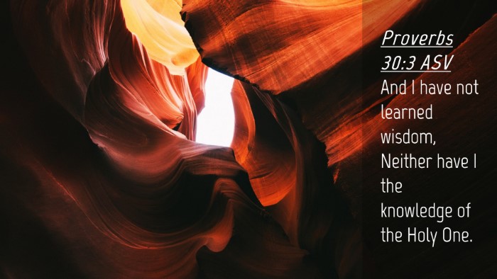 Picture 04 - Proverbs 30:3 ASV Desktop Wallpaper - And I have not learned wisdom, Neither have I the - Desktop Bible Verse Wallpaper