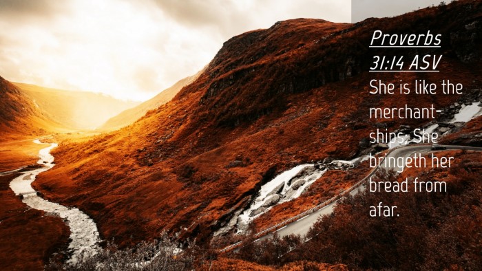 Picture 04 - Proverbs 31:14 ASV Desktop Wallpaper - She is like the merchant-ships; She bringeth her - Desktop Bible Verse Wallpaper