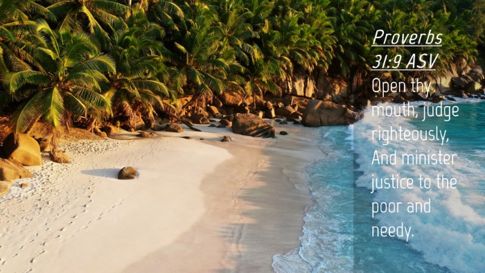 Picture 04 - Proverbs 31:9 ASV Desktop Wallpaper - Open thy mouth, judge righteously, And minister - Desktop Bible Verse Wallpaper